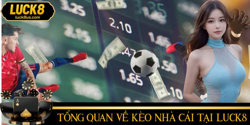Điều khiến hội viên nên theo dõi kèo nhà cái tại LUCK8 mỗi ngày